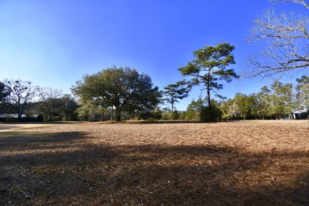 Bonifay, Florida 32425, ,Commercial for Sale,For Sale,Country Club,864384