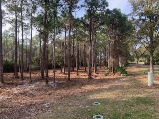 Destin, Florida 32541, ,Land,For Sale,Regatta Bay,842365