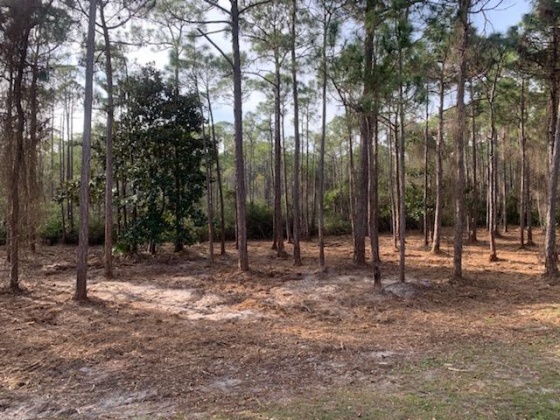 Destin, Florida 32541, ,Land,For Sale,Regatta Bay,842365