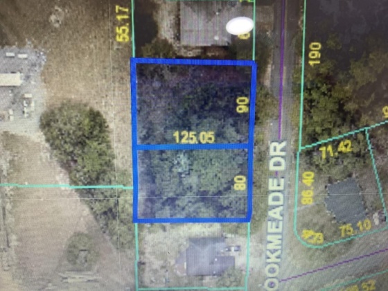 Crestview, Florida 32539, ,Land,For Sale,Brookmeade,864503