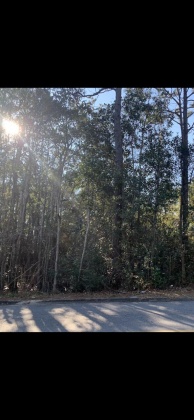 Crestview, Florida 32539, ,Land,For Sale,Brookmeade,864503