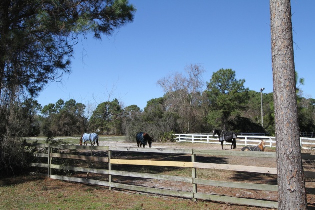 Destin, Florida 32541, 4 Bedrooms Bedrooms, ,3 BathroomsBathrooms,Residential,For Sale,Sand Myrtle,864525