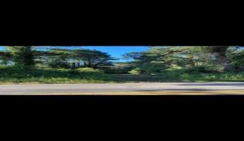 Ponce De Leon, Florida 32455, ,Land,For Sale,Co Highway 183,864612