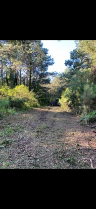 Ponce De Leon, Florida 32455, ,Land,For Sale,Co Highway 183,864612
