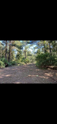 Ponce De Leon, Florida 32455, ,Land,For Sale,Co Highway 183,864612