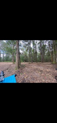 Ponce De Leon, Florida 32455, ,Land,For Sale,Co Highway 183,864612