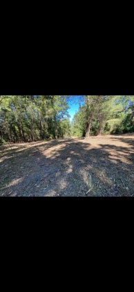 Ponce De Leon, Florida 32455, ,Land,For Sale,Co Highway 183,864612