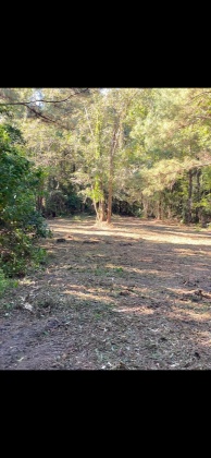 Ponce De Leon, Florida 32455, ,Land,For Sale,Co Highway 183,864612