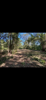 Ponce De Leon, Florida 32455, ,Land,For Sale,Co Highway 183,864612