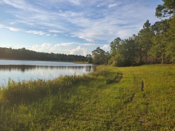 Laurel Hill, Florida 32567, ,Land,For Sale,Higher Ground,850711