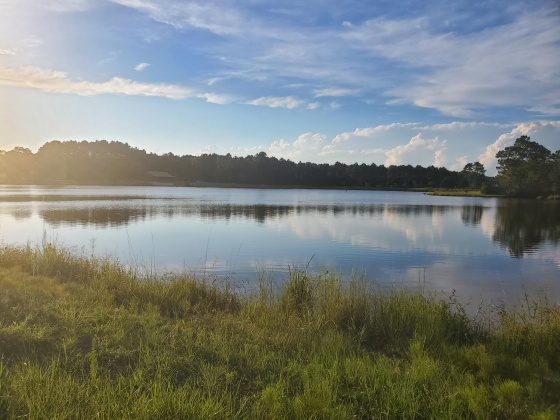 Laurel Hill, Florida 32567, ,Land,For Sale,Higher Ground,850711