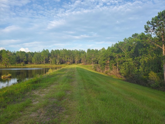 Laurel Hill, Florida 32567, ,Land,For Sale,Higher Ground,850711