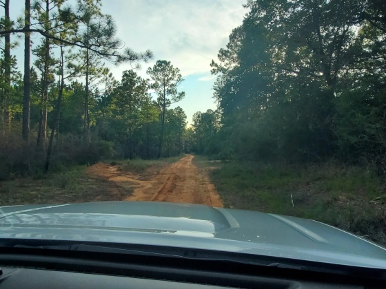 Laurel Hill, Florida 32567, ,Land,For Sale,Higher Ground,850711