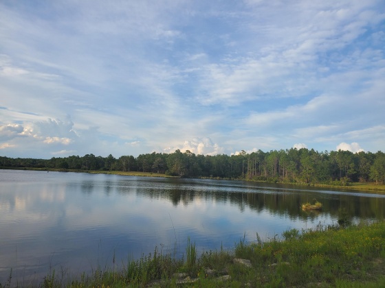 Laurel Hill, Florida 32567, ,Land,For Sale,Higher Ground,850711