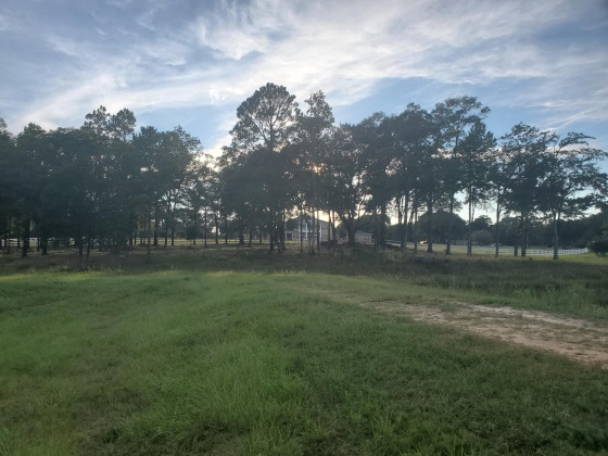 Laurel Hill, Florida 32567, ,Land,For Sale,Higher Ground,850711