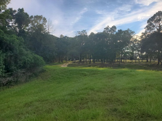 Laurel Hill, Florida 32567, ,Land,For Sale,Higher Ground,850711