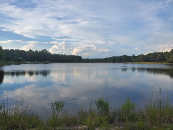 Laurel Hill, Florida 32567, ,Land,For Sale,Higher Ground,850711