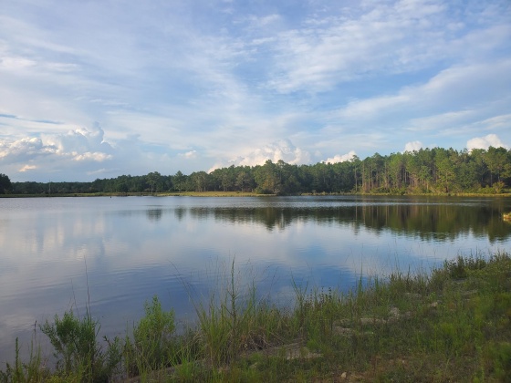 Laurel Hill, Florida 32567, ,Land,For Sale,Higher Ground,850711