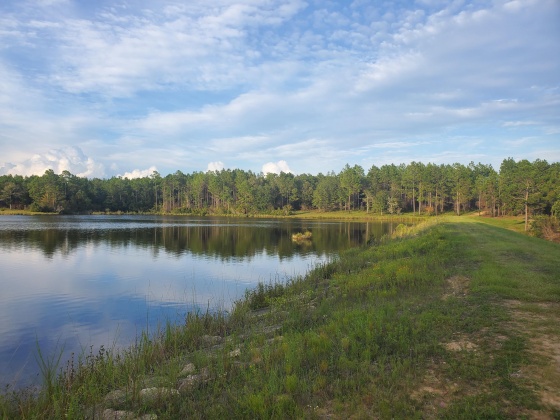 Laurel Hill, Florida 32567, ,Land,For Sale,Higher Ground,850711