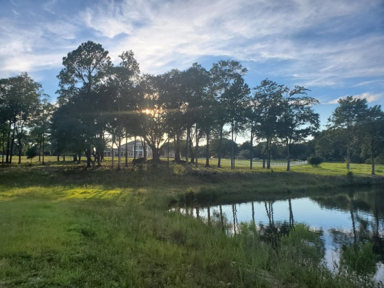 Laurel Hill, Florida 32567, ,Land,For Sale,Higher Ground,850711