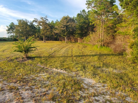 Laurel Hill, Florida 32567, ,Land,For Sale,Higher Ground,850711