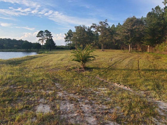 Laurel Hill, Florida 32567, ,Land,For Sale,Higher Ground,850711