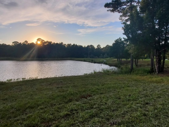 Laurel Hill, Florida 32567, ,Land,For Sale,Higher Ground,850711