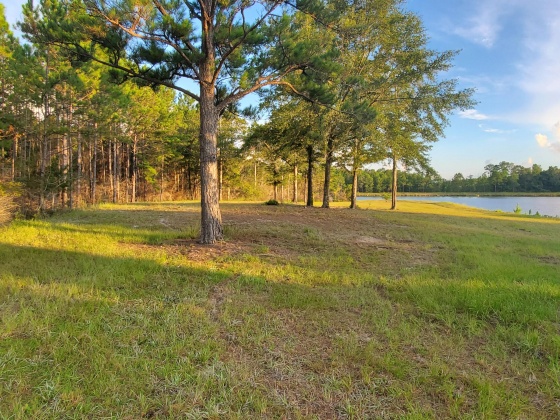 Laurel Hill, Florida 32567, ,Land,For Sale,Higher Ground,850711