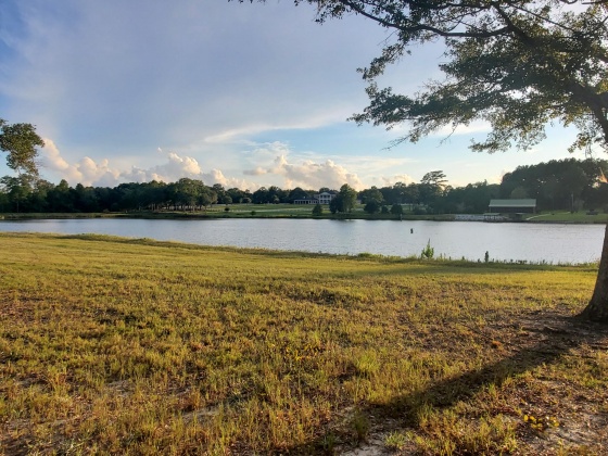 Laurel Hill, Florida 32567, ,Land,For Sale,Higher Ground,850711