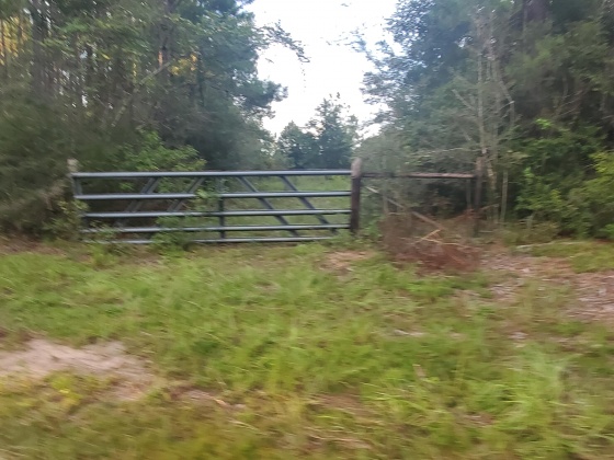 Laurel Hill, Florida 32567, ,Land,For Sale,Higher Ground,850711