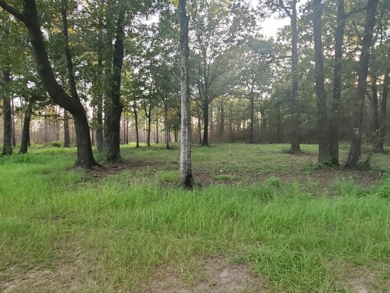 Laurel Hill, Florida 32567, ,Land,For Sale,Higher Ground,850711