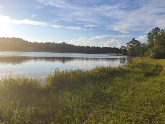 Laurel Hill, Florida 32567, ,Land,For Sale,Higher Ground,850711