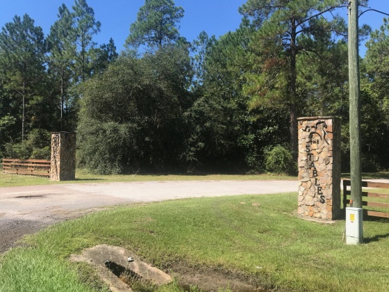 Ponce De Leon, Florida 32455, ,Land,For Sale,Travellers,807135