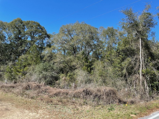 Red Bay, Florida 32455, ,Commercial for Sale,For Sale,Tram Rd,864772