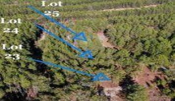 Ponce De Leon, Florida 32455, ,Land,For Sale,Golf Club,864717