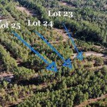 Ponce De Leon, Florida 32455, ,Land,For Sale,Golf Club,864717