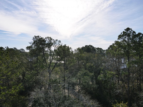 Freeport, Florida 32439, ,Land,For Sale,Bayside,864768