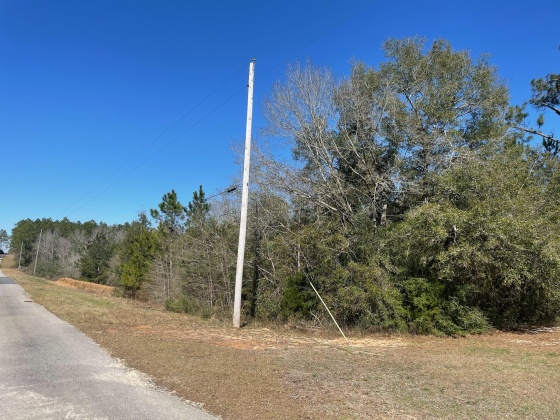 Defuniak Springs, Florida 32433, ,Land,For Sale,Ten Lake Dr,864769