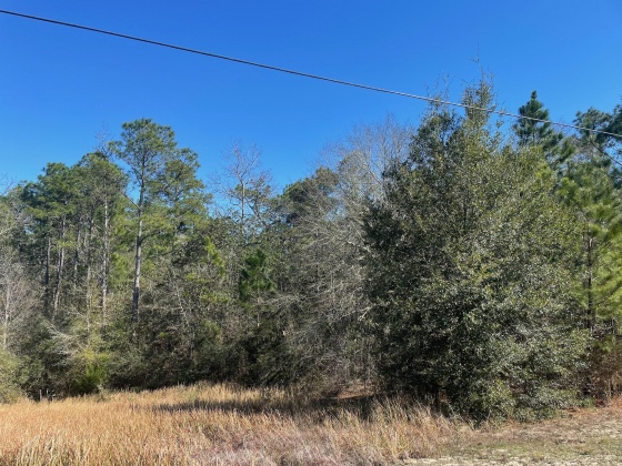 Defuniak Springs, Florida 32433, ,Land,For Sale,Ten Lake Dr,864769