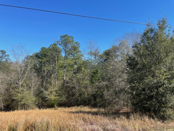 Defuniak Springs, Florida 32433, ,Land,For Sale,Ten Lake Dr,864769