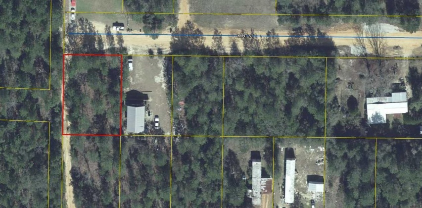 Defuniak Springs, Florida 32433, ,Land,For Sale,Mint,864798