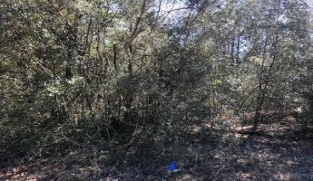 Defuniak Springs, Florida 32433, ,Land,For Sale,Mint,864803