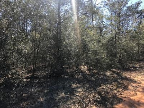 Defuniak Springs, Florida 32433, ,Land,For Sale,Mint,864803