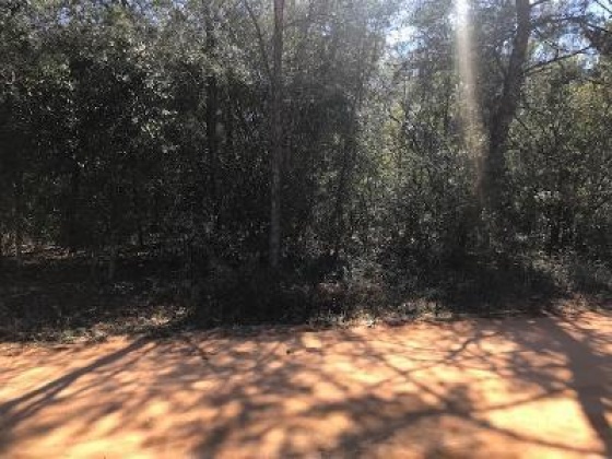 Defuniak Springs, Florida 32433, ,Land,For Sale,Mint,864803