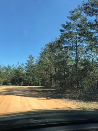 Defuniak Springs, Florida 32433, ,Land,For Sale,Mint,864803