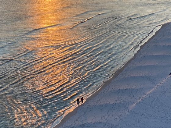 Destin, Florida 32541, 4 Bedrooms Bedrooms, ,4 BathroomsBathrooms,Residential,For Sale,Scenic Highway 98,863914