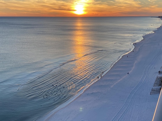 Destin, Florida 32541, 4 Bedrooms Bedrooms, ,4 BathroomsBathrooms,Residential,For Sale,Scenic Highway 98,863914