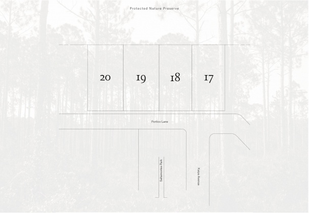 Inlet Beach, Florida 32461, ,Land,For Sale,Portico,864827