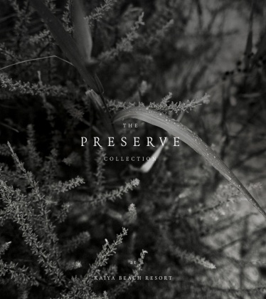 Inlet Beach, Florida 32461, ,Land,For Sale,Portico,864827