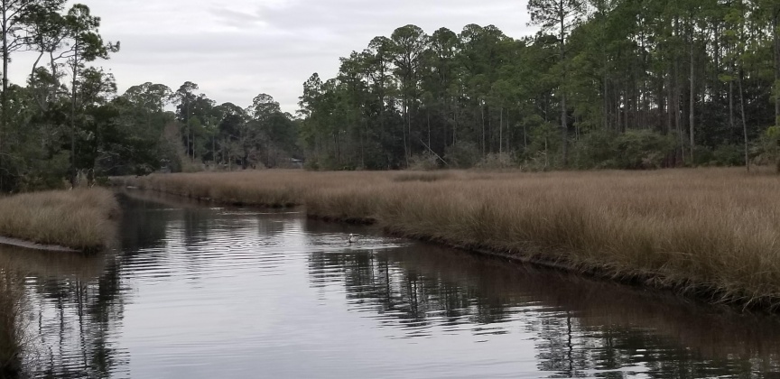 Santa Rosa Beach, Florida 32459, ,Land,For Sale,12th (Block 56),864931